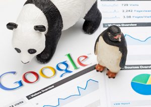 facts about google algorithm panda penguin