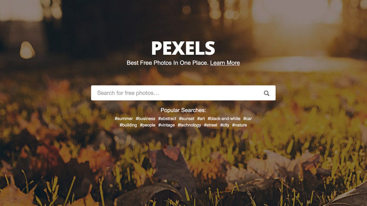 pexels stock photos