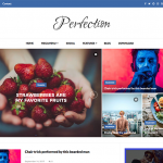 Perfection Premium Blogger Template