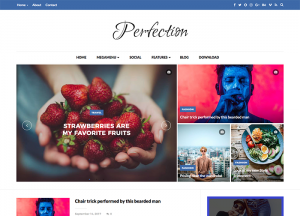 perfection simple blogger template