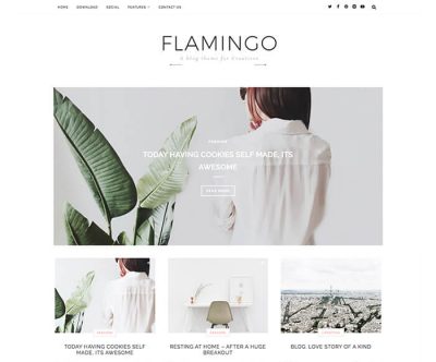 fashion chic blogger template