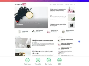 best free wordpress theme